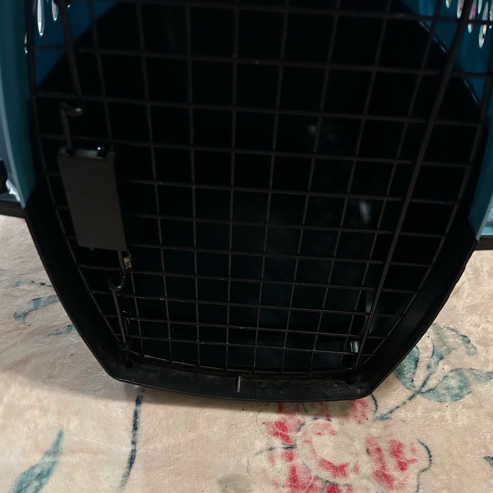Pet Carrier - Blue Plastic Travel Crate